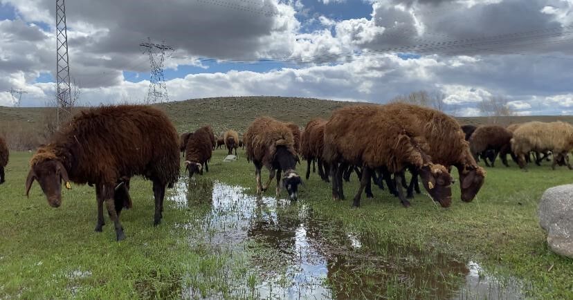 Maaş 120 Bin Tl (2)