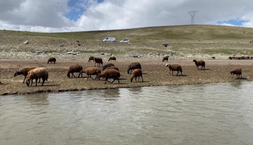 Maaş 120 Bin Tl (4)