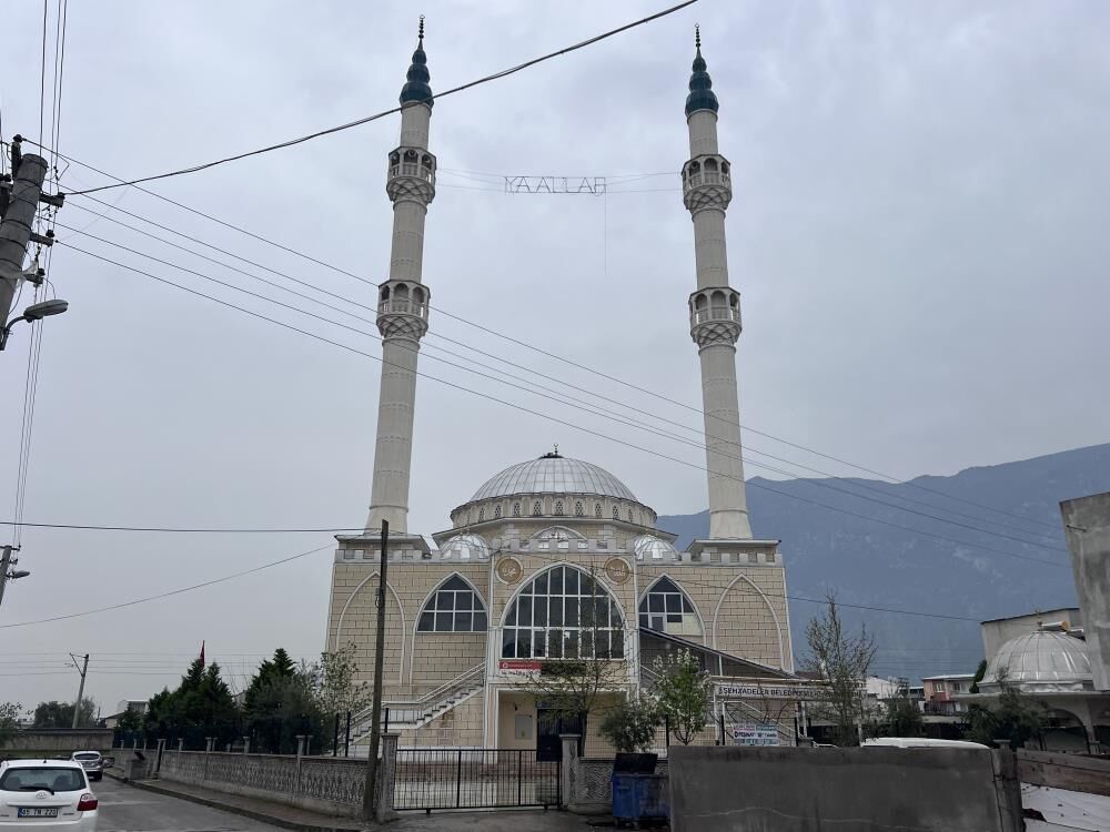 Manisa Camii Leylek (1)-1