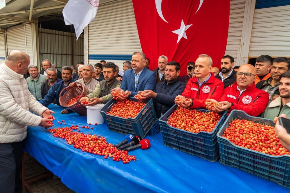 Manisa Ekenci Kiraz (4)