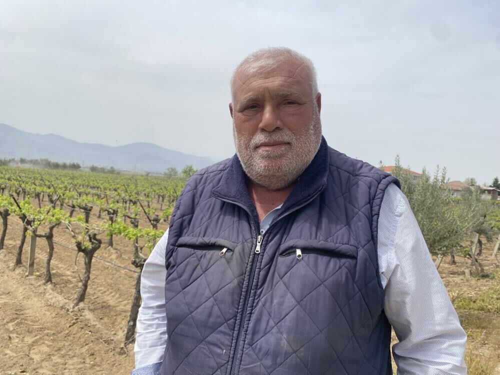 Manisada Kalintisiz Uzum Uretimi Icin Yeni Model (8)