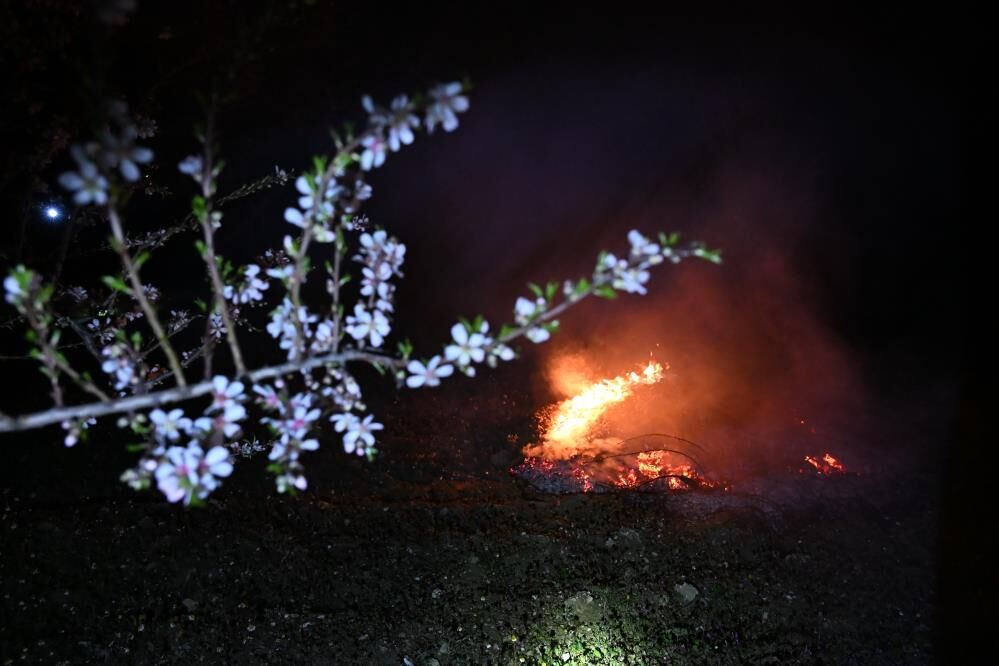 Manisada Zirai Don Alarmi Ureticiler Gece Boyunca Nobet Tuttu (1)-1