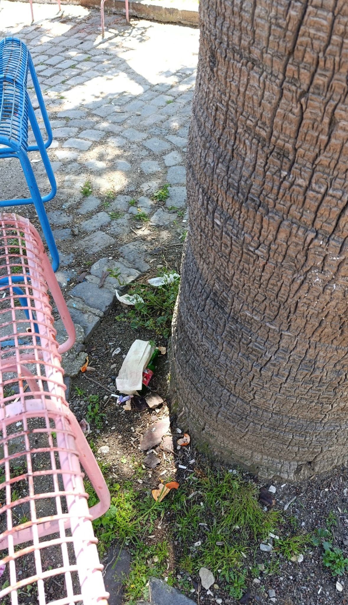 “Palmiye Parkı’na Bakım Yapılmasını Istiyoruz” (1)-1