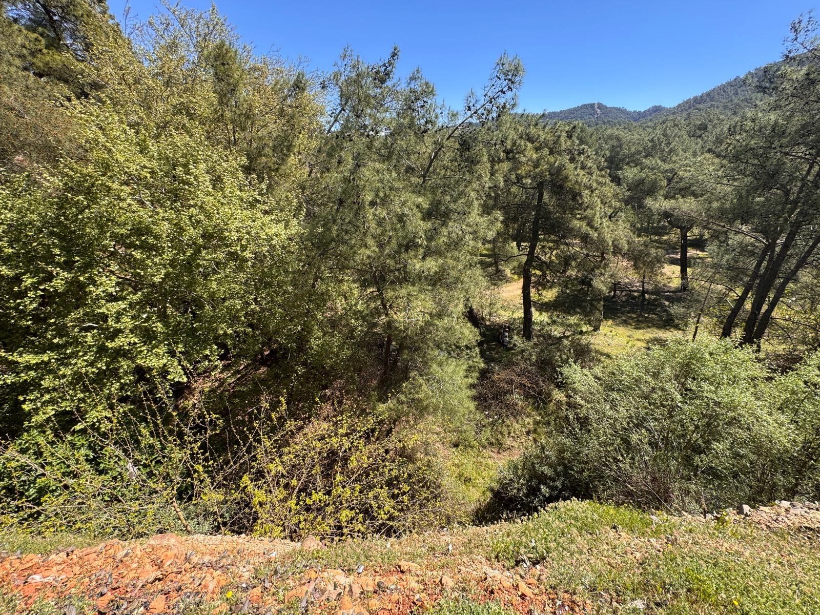 Piknikte Canindan Oldu Talihsiz Gencin Kahreden Olumu (1)-1