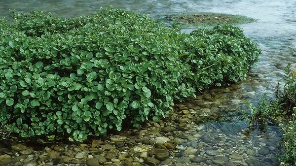 S 7Ca544Ae375Cd19D682Fa7Ed894C0Da49Eaaf99B