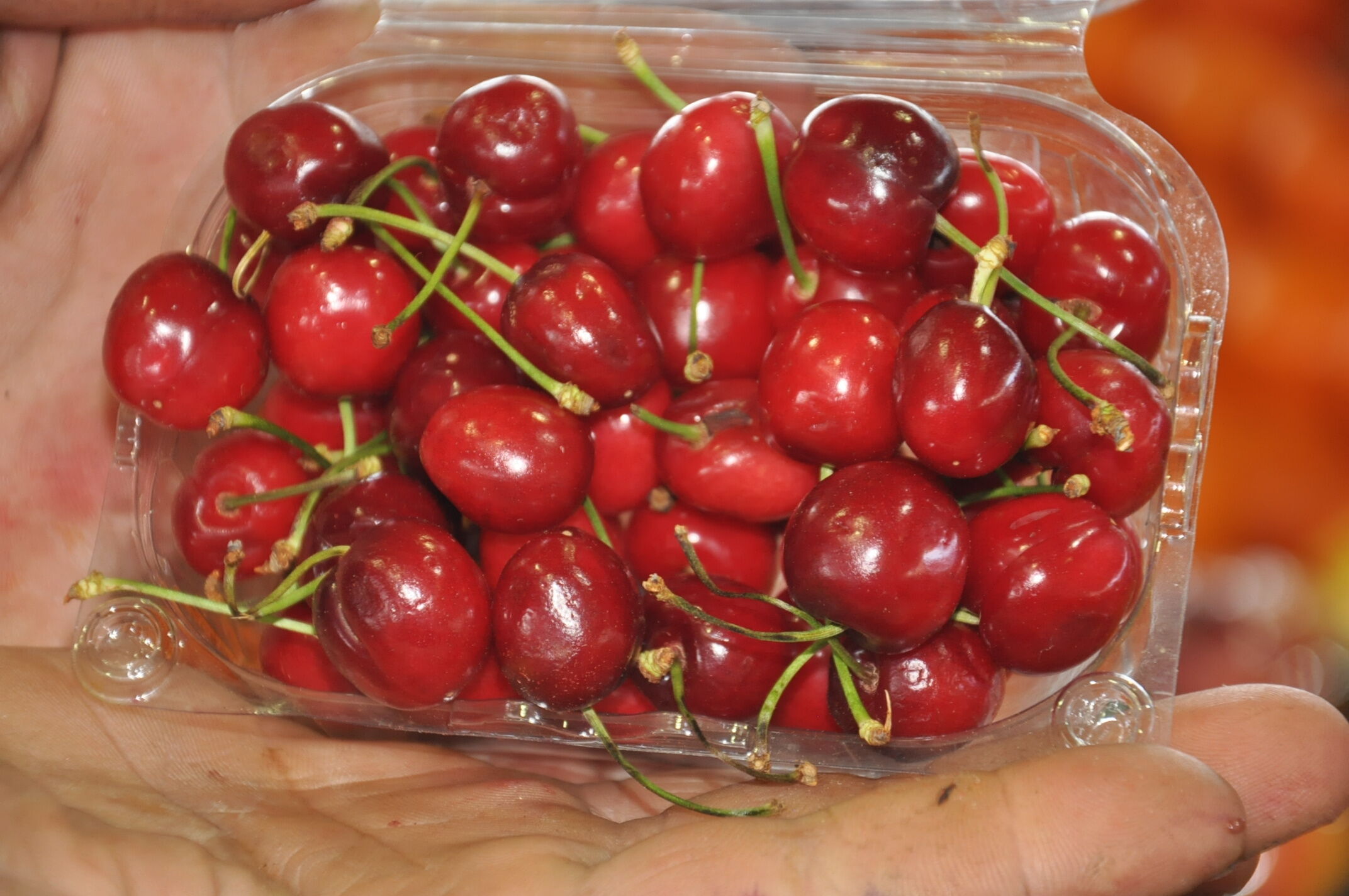 Salihli Pazar Kiraz (1)