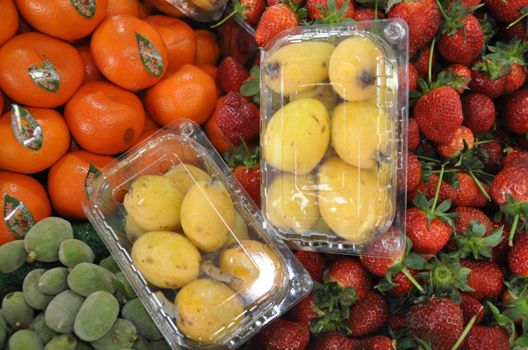 Sali̇hli̇ Yeni̇ Dünya (1)