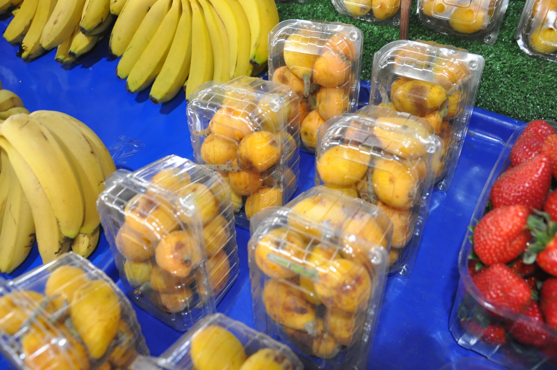 Sali̇hli̇ Yeni̇ Dünya (3)