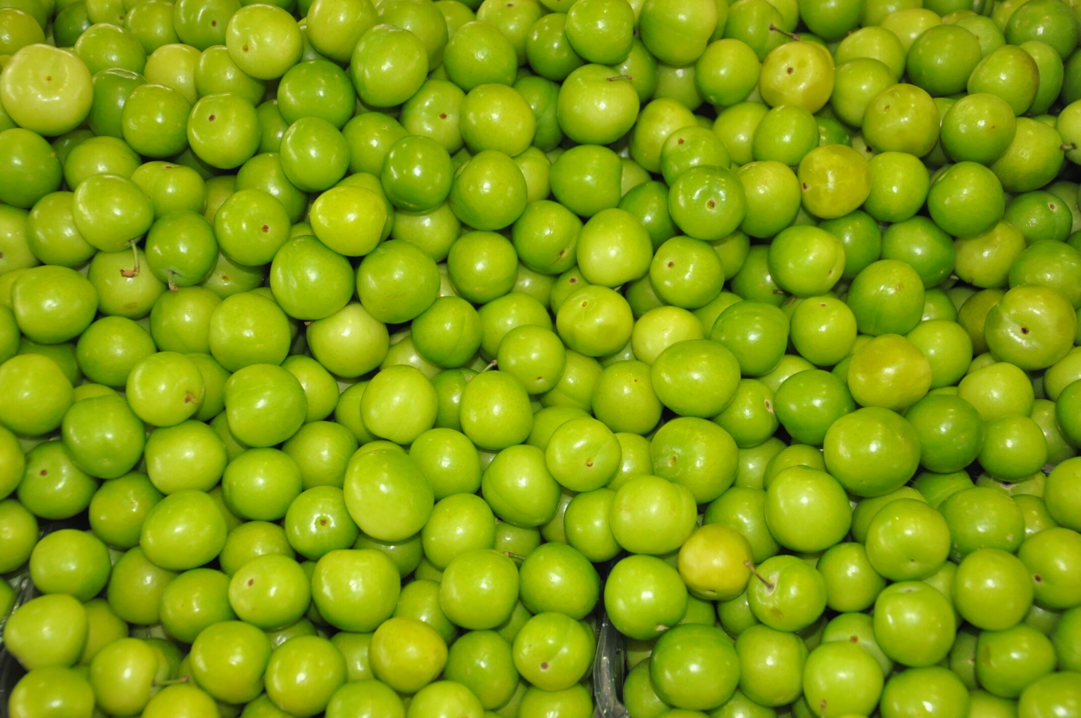 Salihlili Vatandaşların Her Hafta Ziyaret Ettiği Çarşamba Pazarı Her Zamanki Gibi Yine Bu Hafta Da Dualarla Birlikte Açıldı. Salihli Için Pazarı Dolaşıp Pazardaki Güncel Fiyatları Sizler Için Derledik. İşte ( (14)