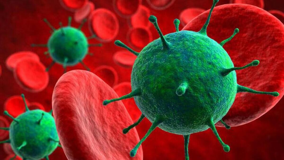 Şaşkınlık Yaratan Keşif (2)