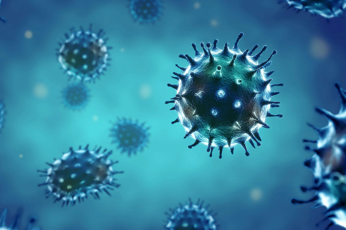 Şaşkınlık Yaratan Keşif (4)