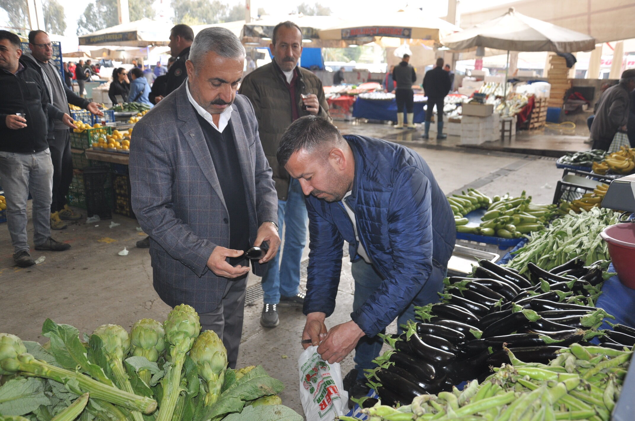 Sebze Meyve Salihli (10)