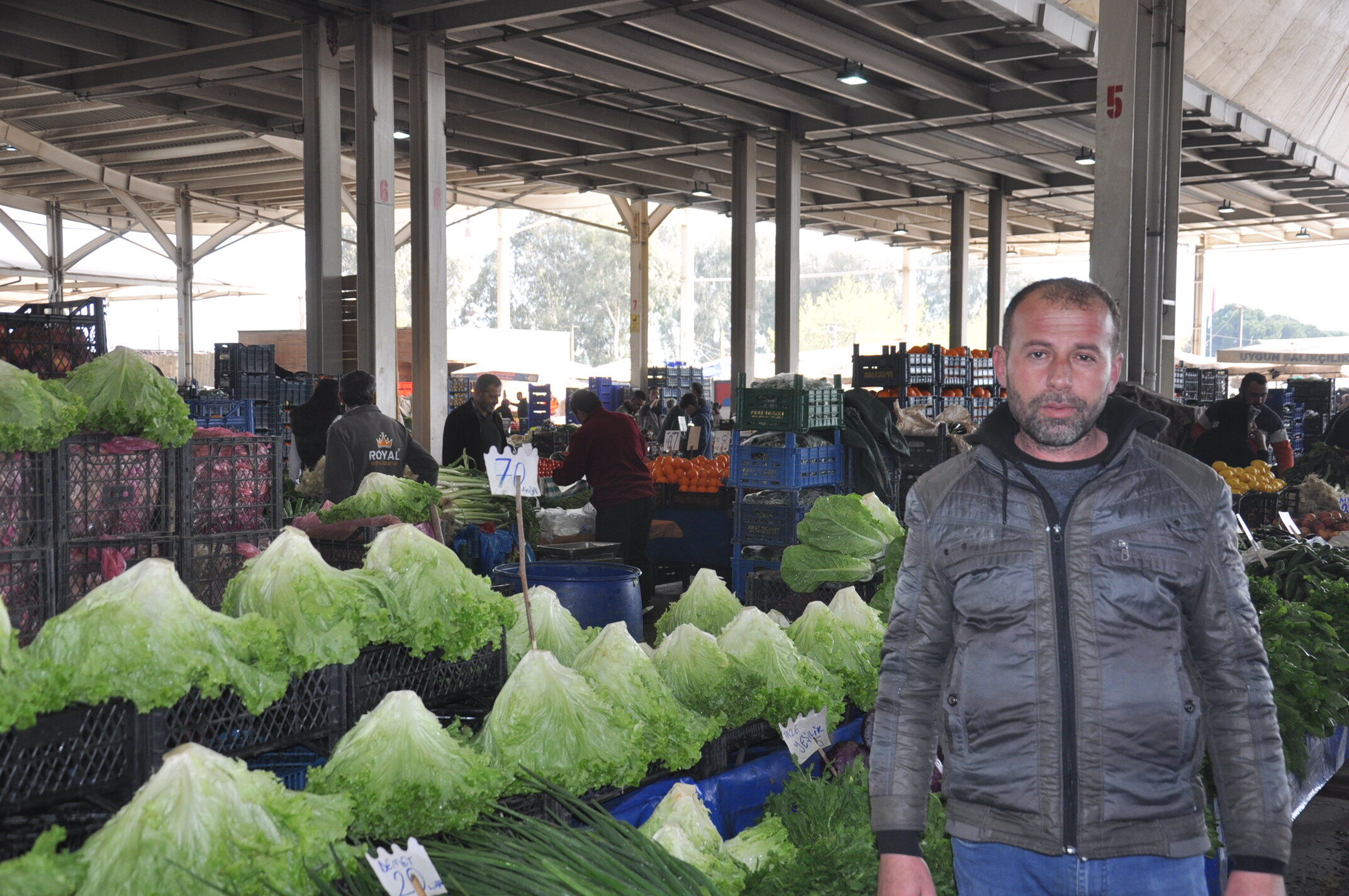 Sebze Meyve Salihli (13)