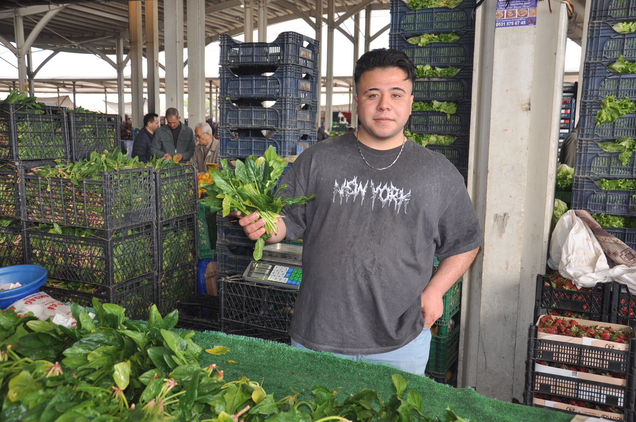 Sebze Meyve Salihli (16)