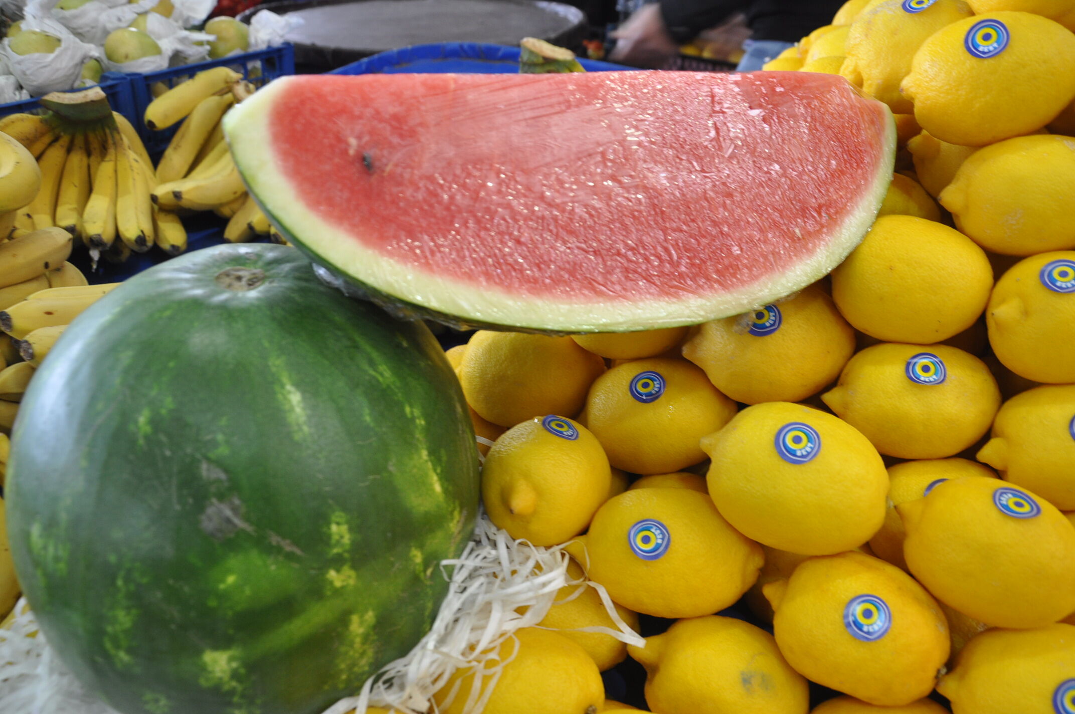 Sebze Meyve Salihli (2)