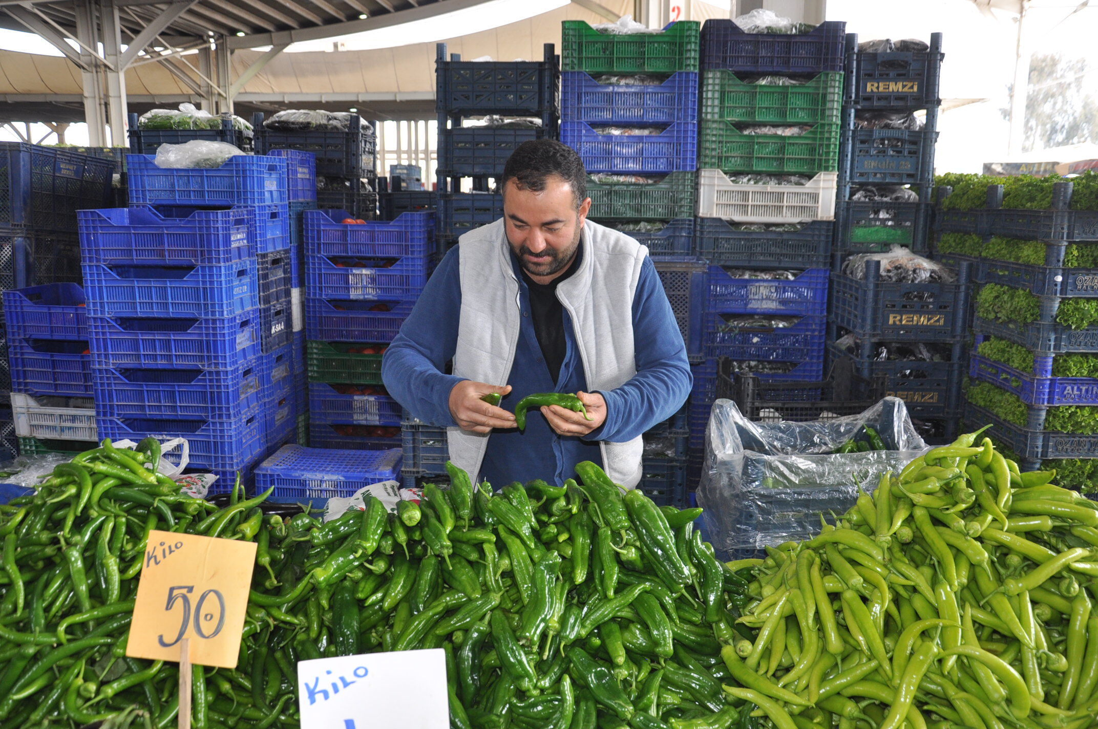 Sebze Meyve Salihli (22)