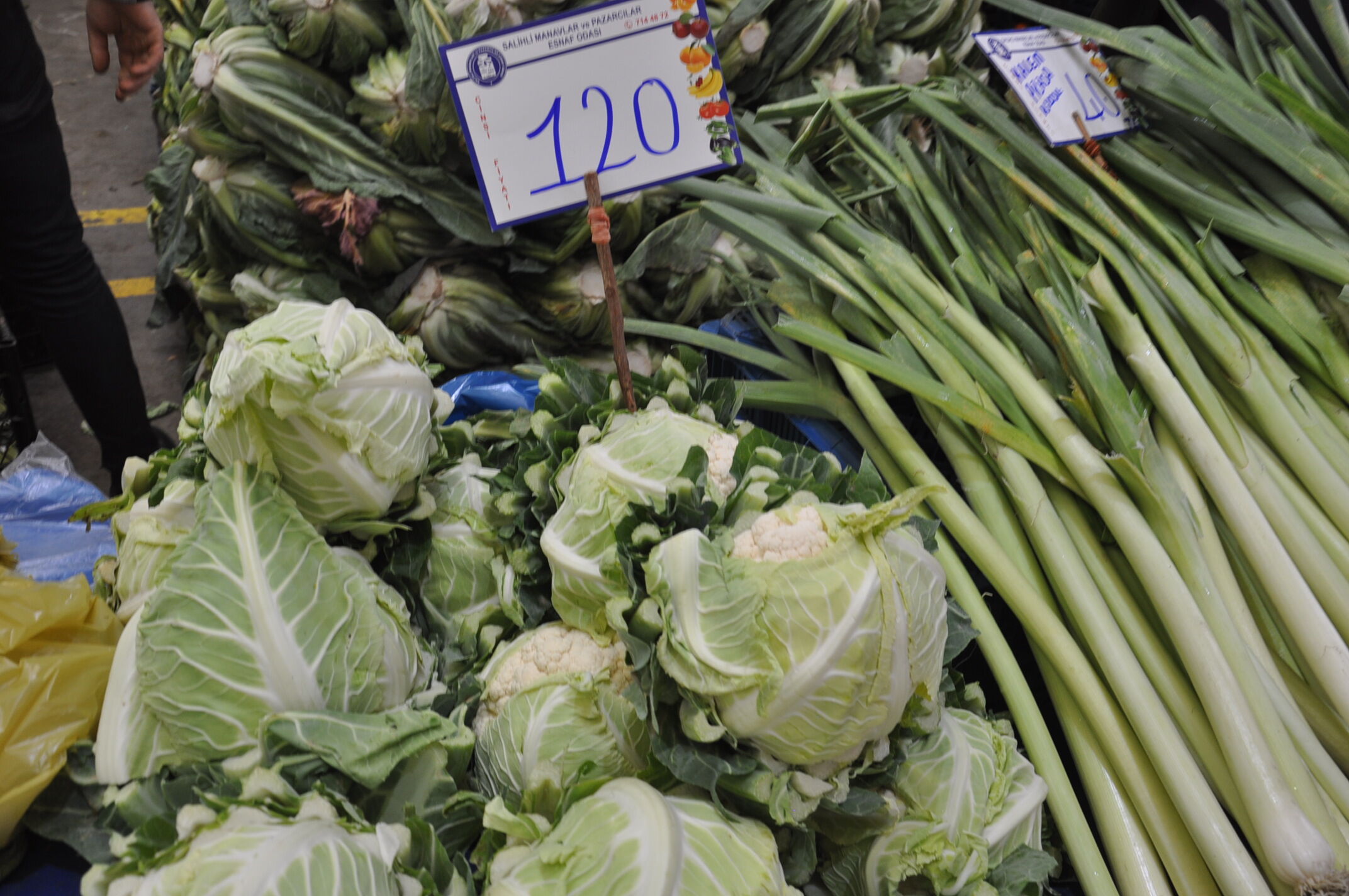 Sebze Meyve Salihli (23)