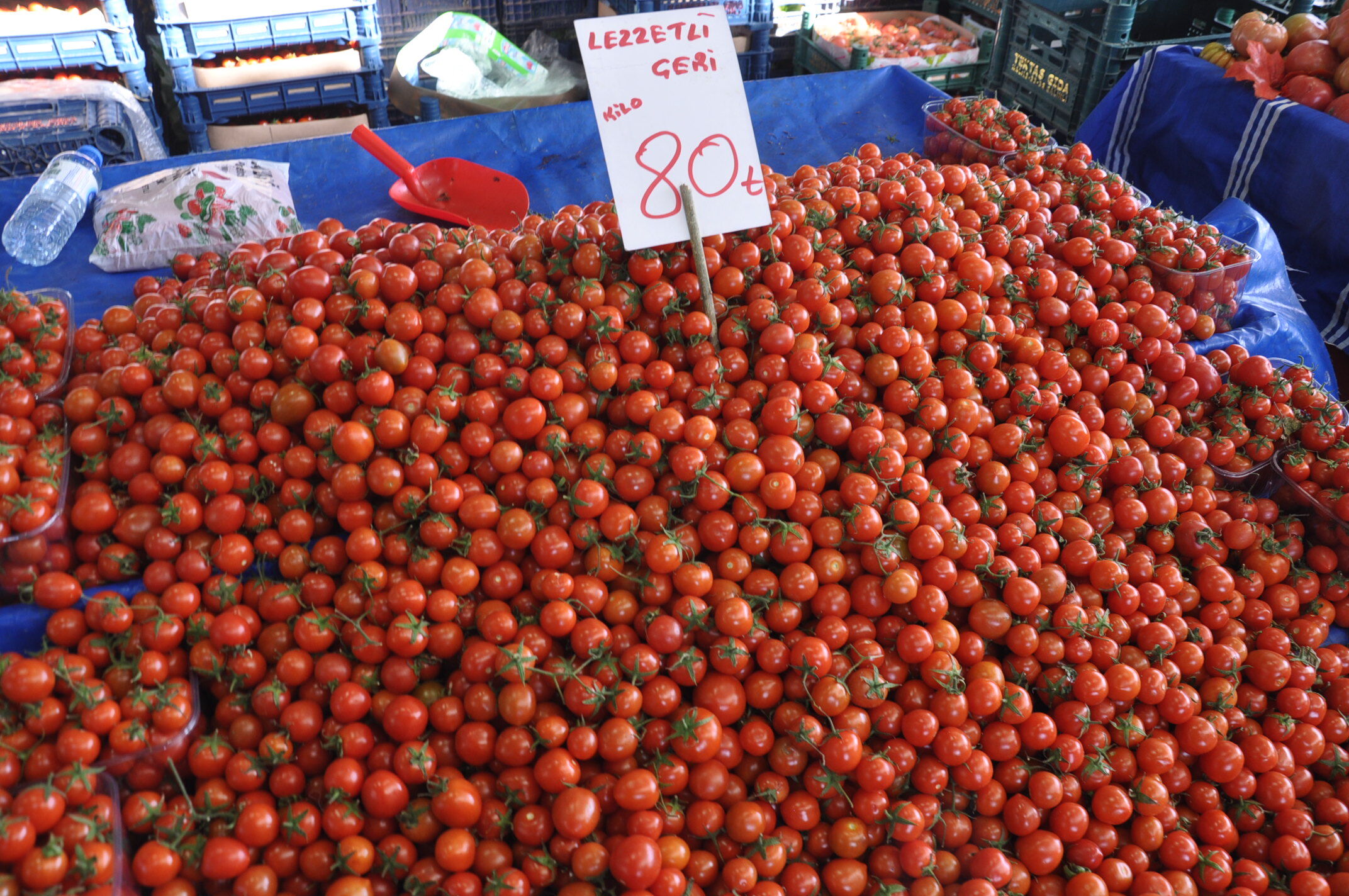 Sebze Meyve Salihli (3)