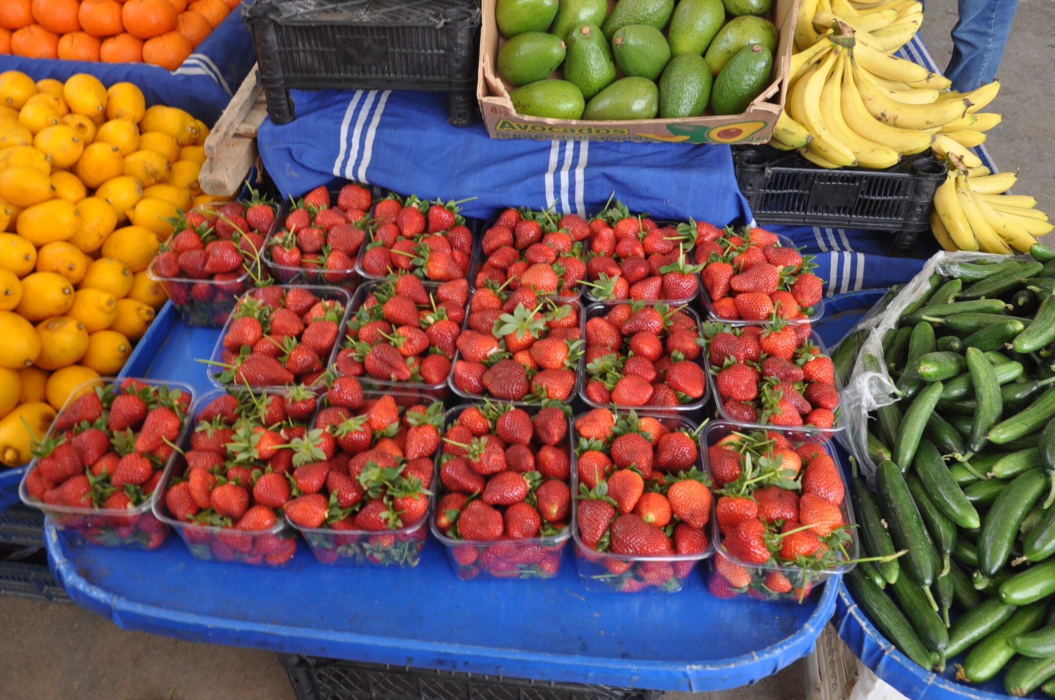 Sebze Meyve Salihli (8)