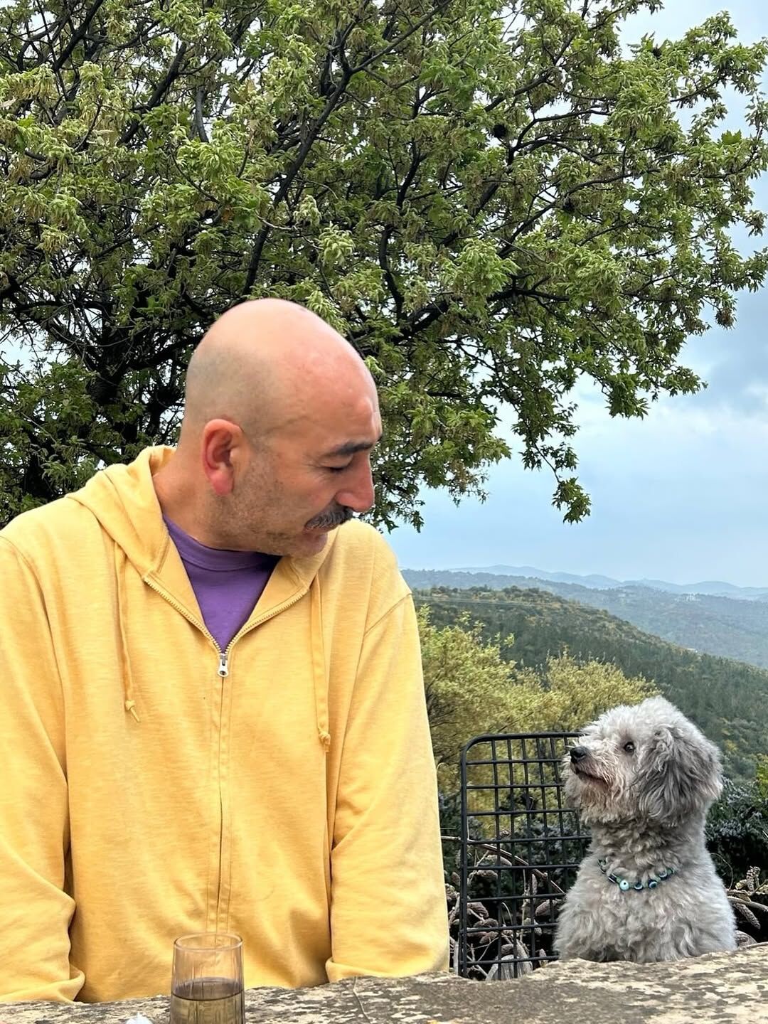 Sedat Arpalık Ne İş Yapıyor