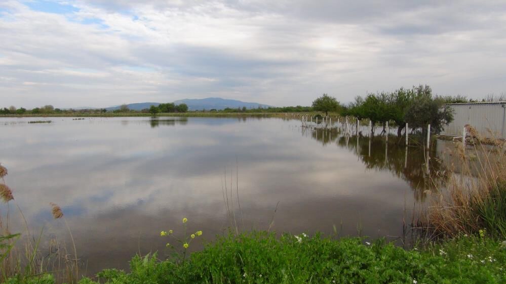 Şemsi Bayraktar Manisa (7)