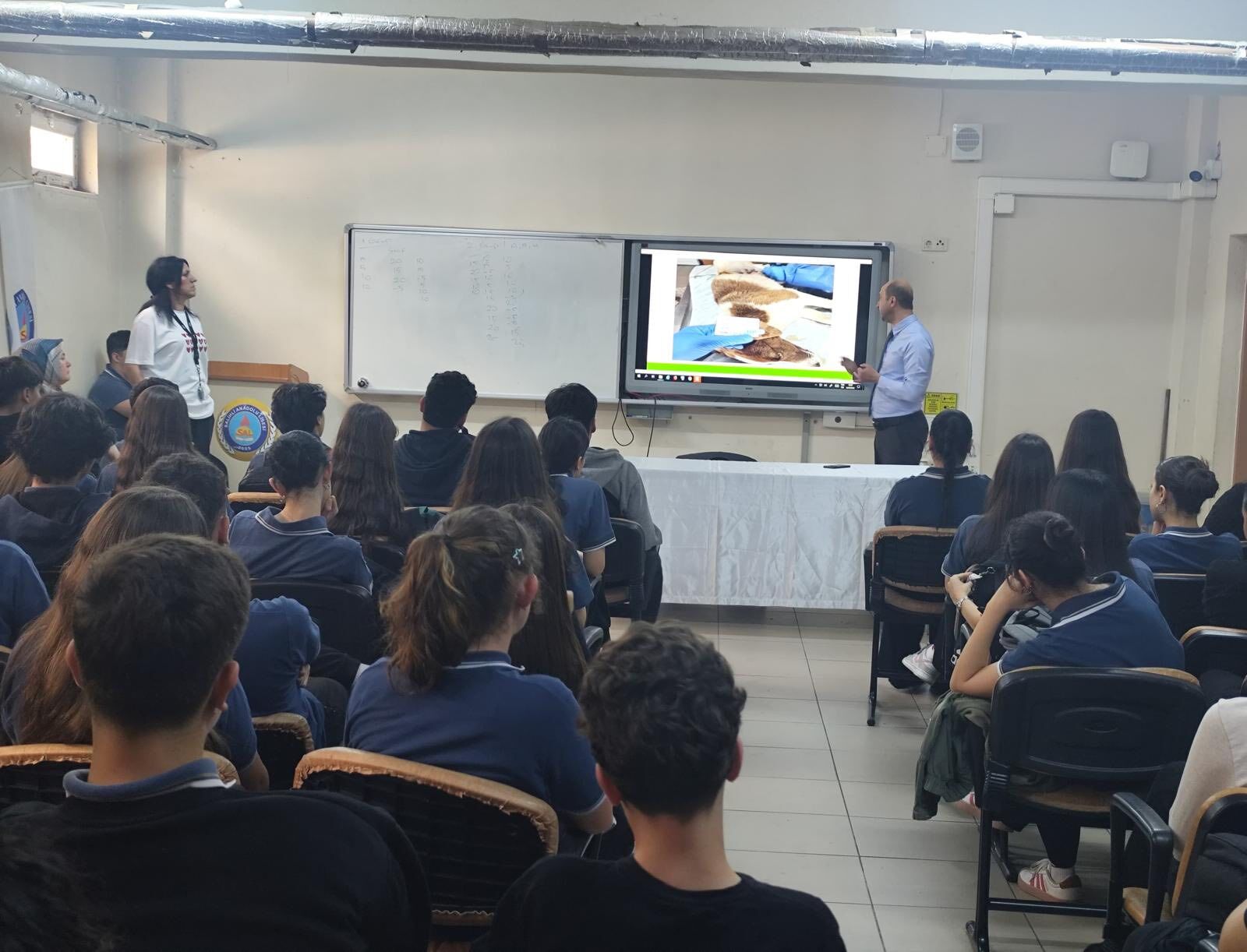 Sokak Hayvanlari (1)