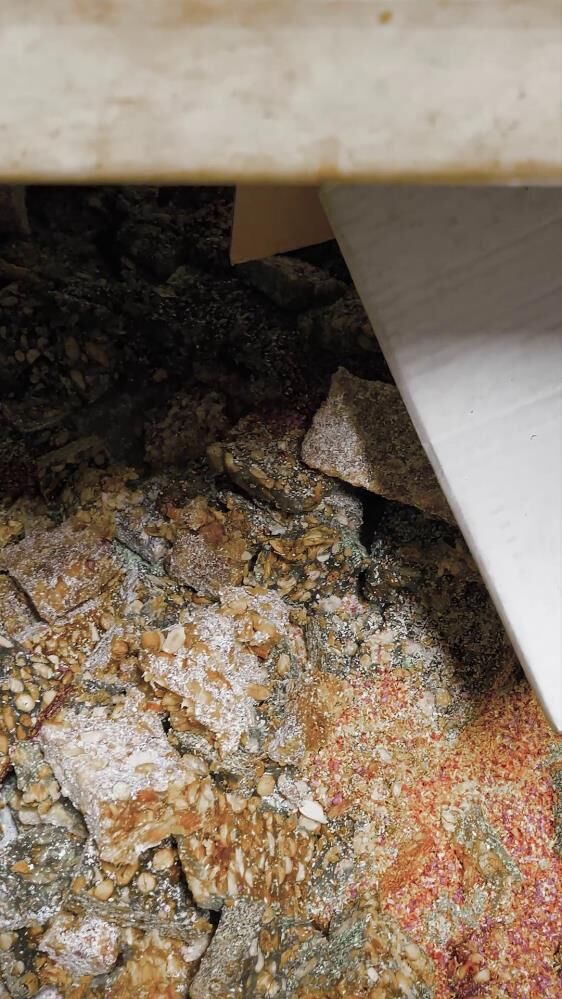 Tatli Diye Satiliyordu Gercek Bambaska Cikti Zabita Hayatinin Sokunu Yasadi (5)