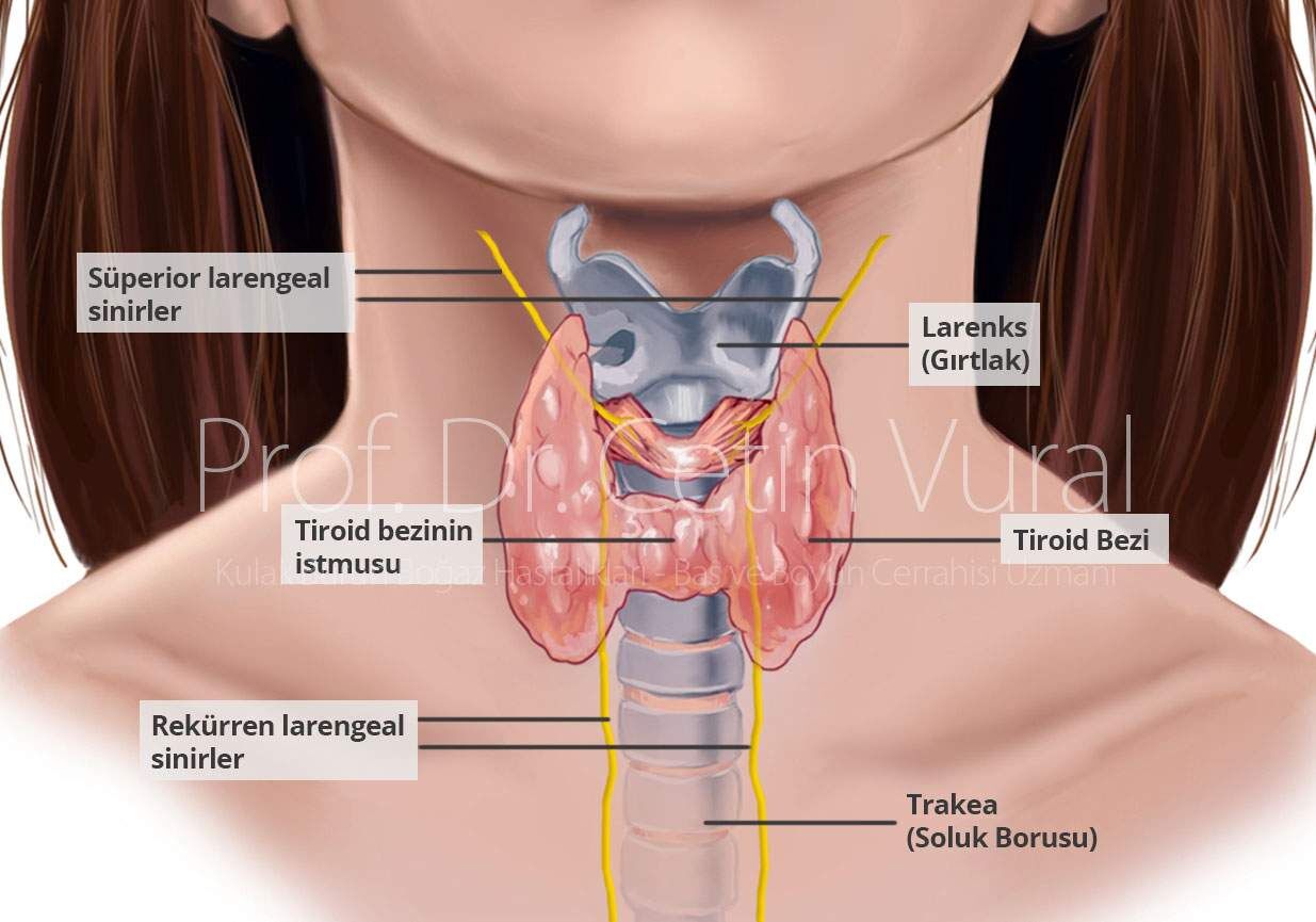 Uzmandan Kritik Uyari Boyundaki Sislik Agizda Gecmeyen Yara Kansere Isaret Edebilir (1)-1