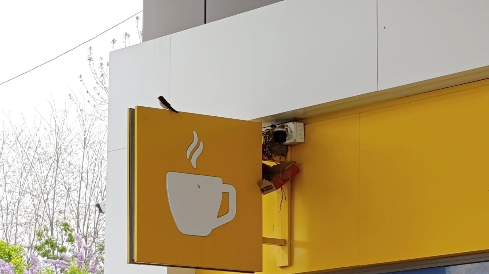 Whatsapp Image 2026 04 15 At 16.50.11