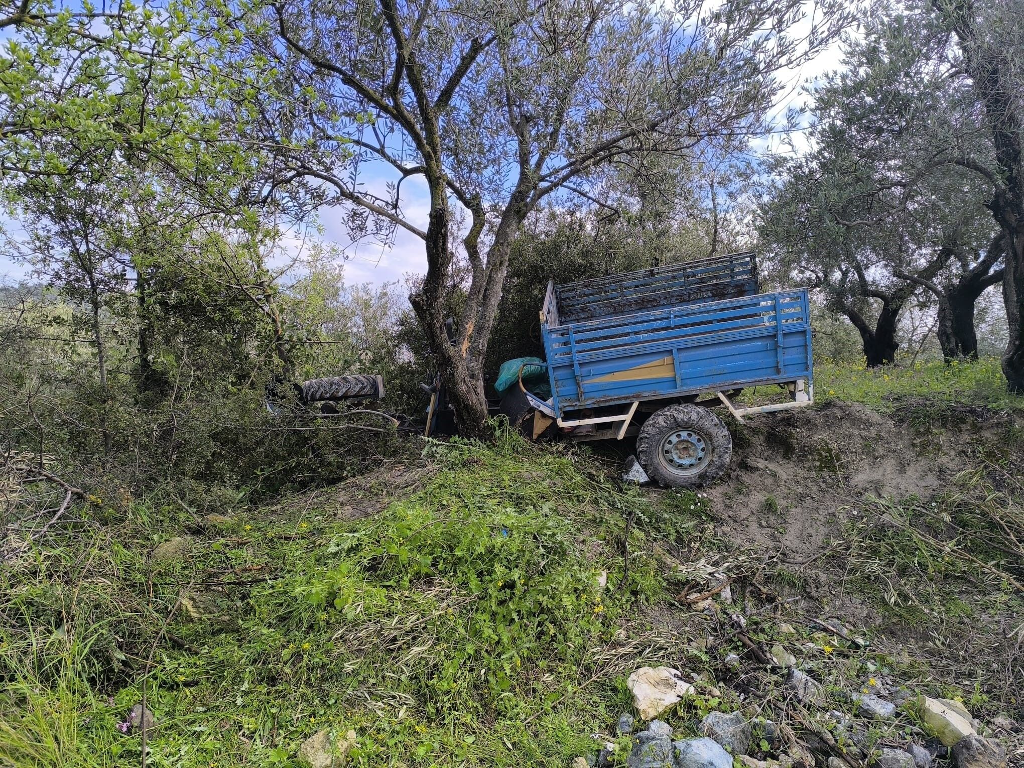 Zeytin Bahcesinde Aci Son Itfaiye Ekipleri Cikardi Ama Kurtarilamadi (5)