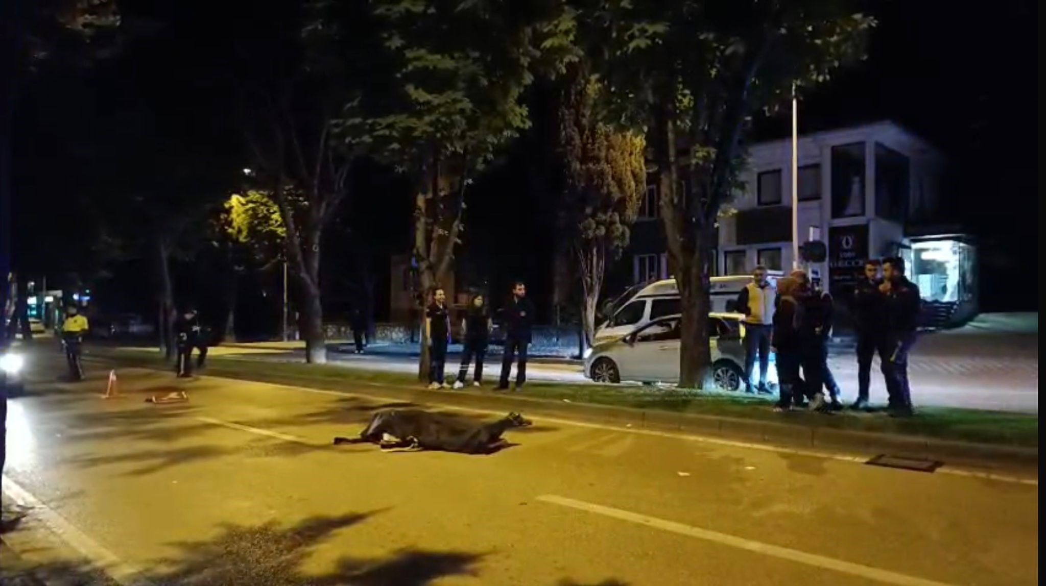 Acı Tesadüf 4 Yıl Önce Ağabeyi De Trafik Kazasında Ölmüş (5)