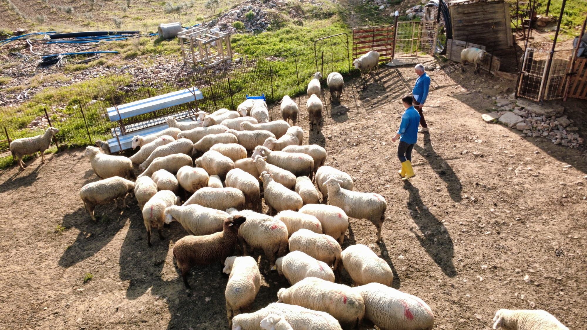 Genc Fizyoterapist Tarima Dondu Manisada Kangal Uretimi Baslatti (1)