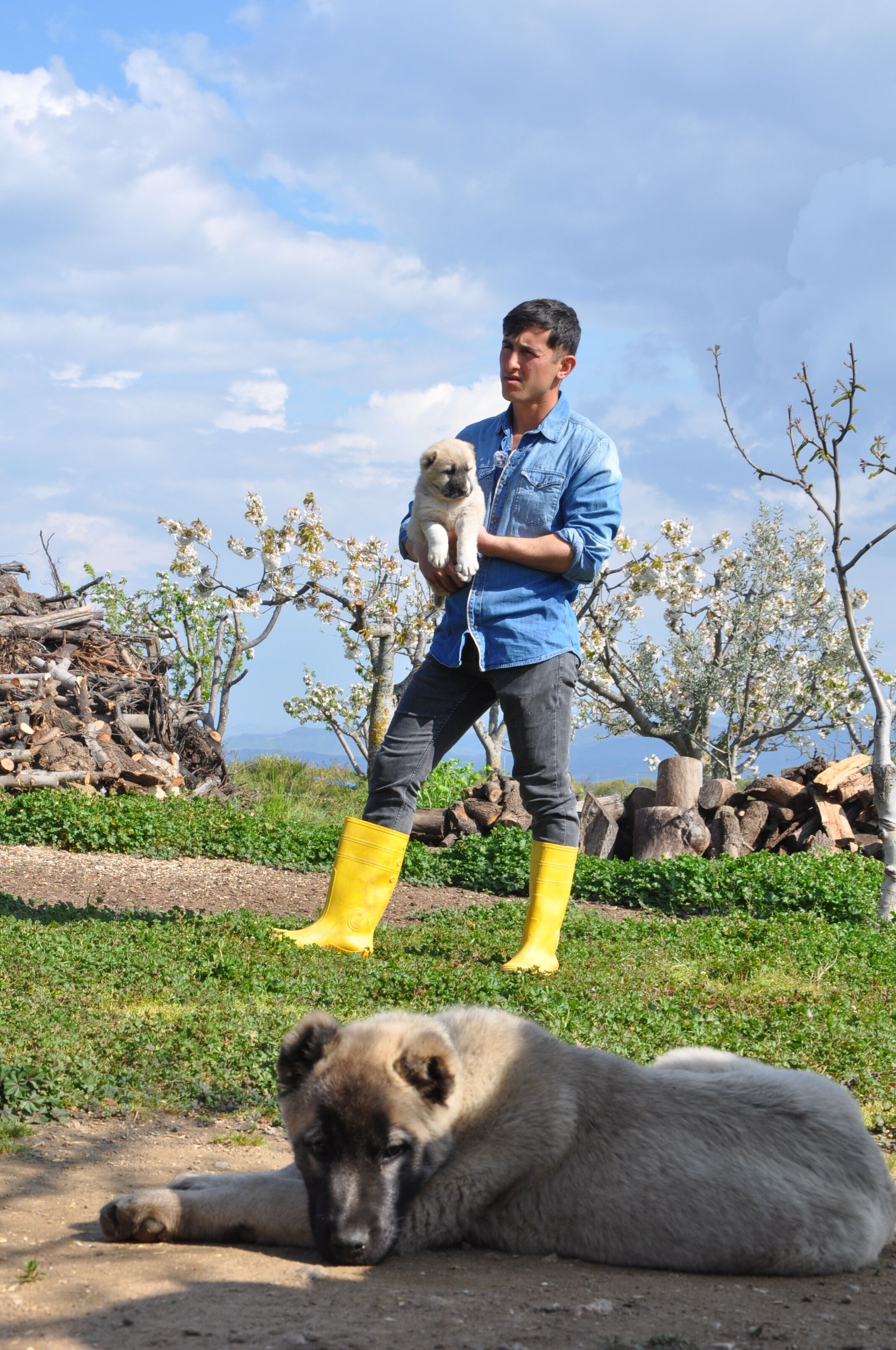 Genc Fizyoterapist Tarima Dondu Manisada Kangal Uretimi Baslatti (22)