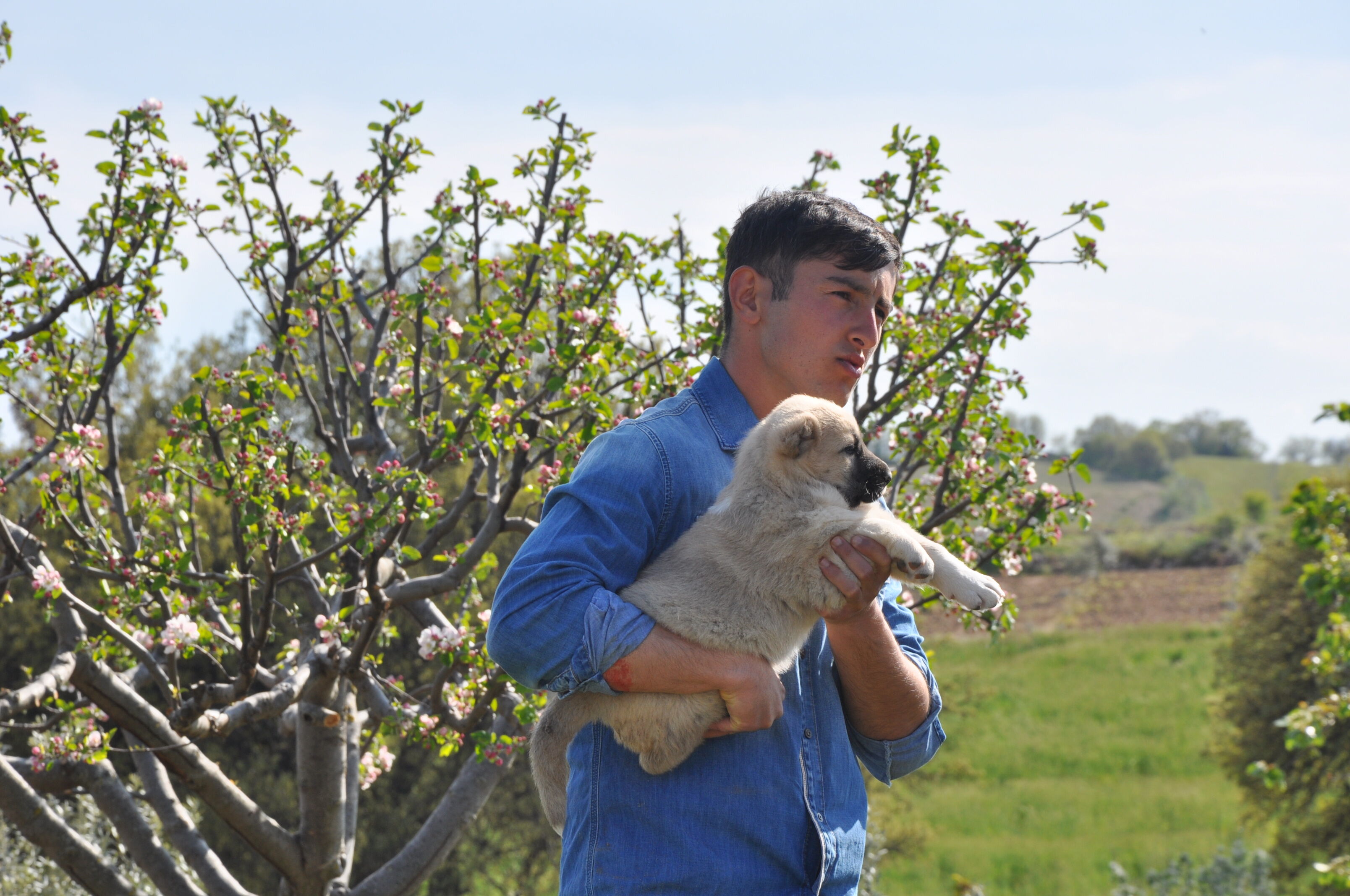 Genc Fizyoterapist Tarima Dondu Manisada Kangal Uretimi Baslatti (7)-1