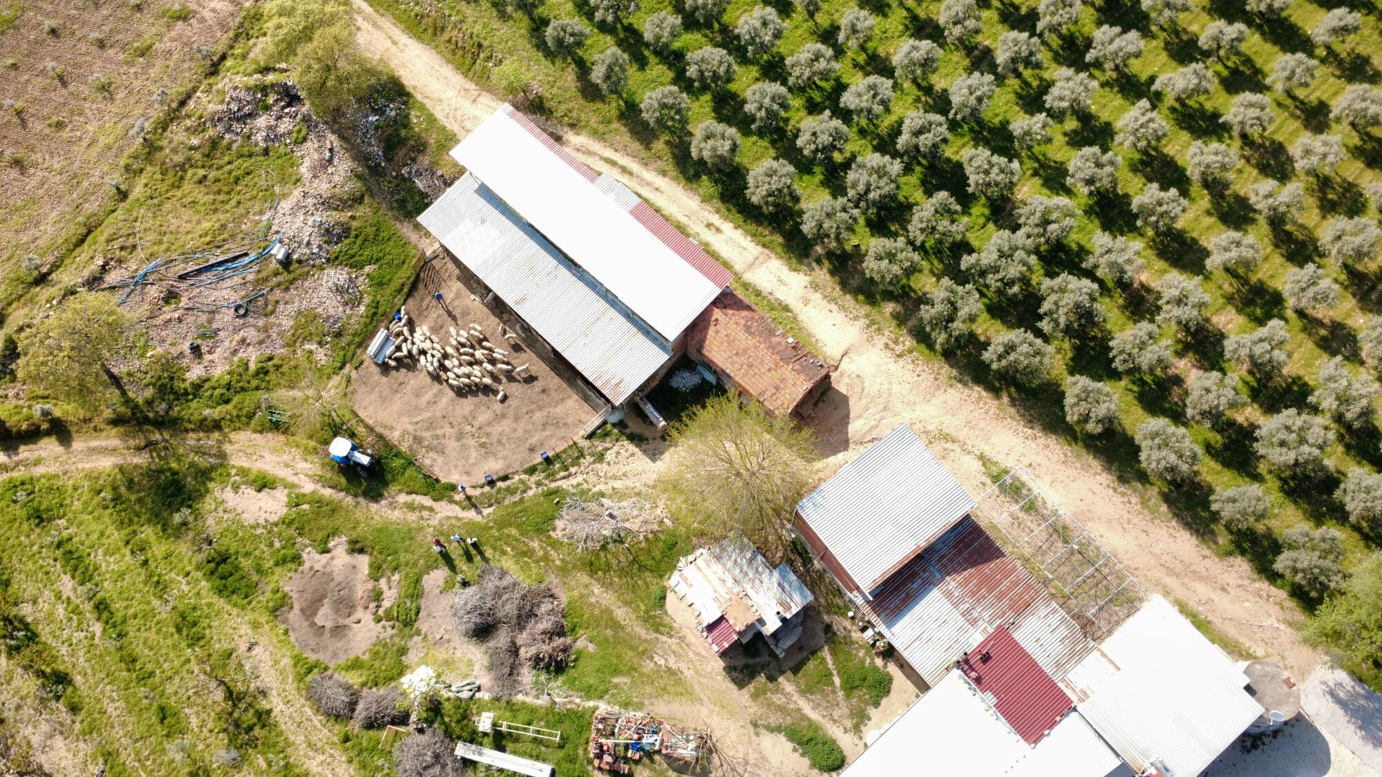 Genc Fizyoterapist Tarima Dondu Manisada Kangal Uretimi Baslatti (7)