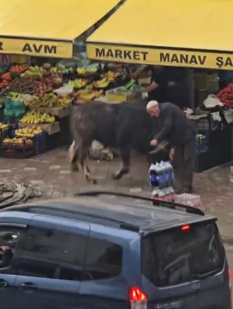 Kontrolden Cikan Manda Dehset Sacti Yasli Adam Yere Boyle Savruldu (2)