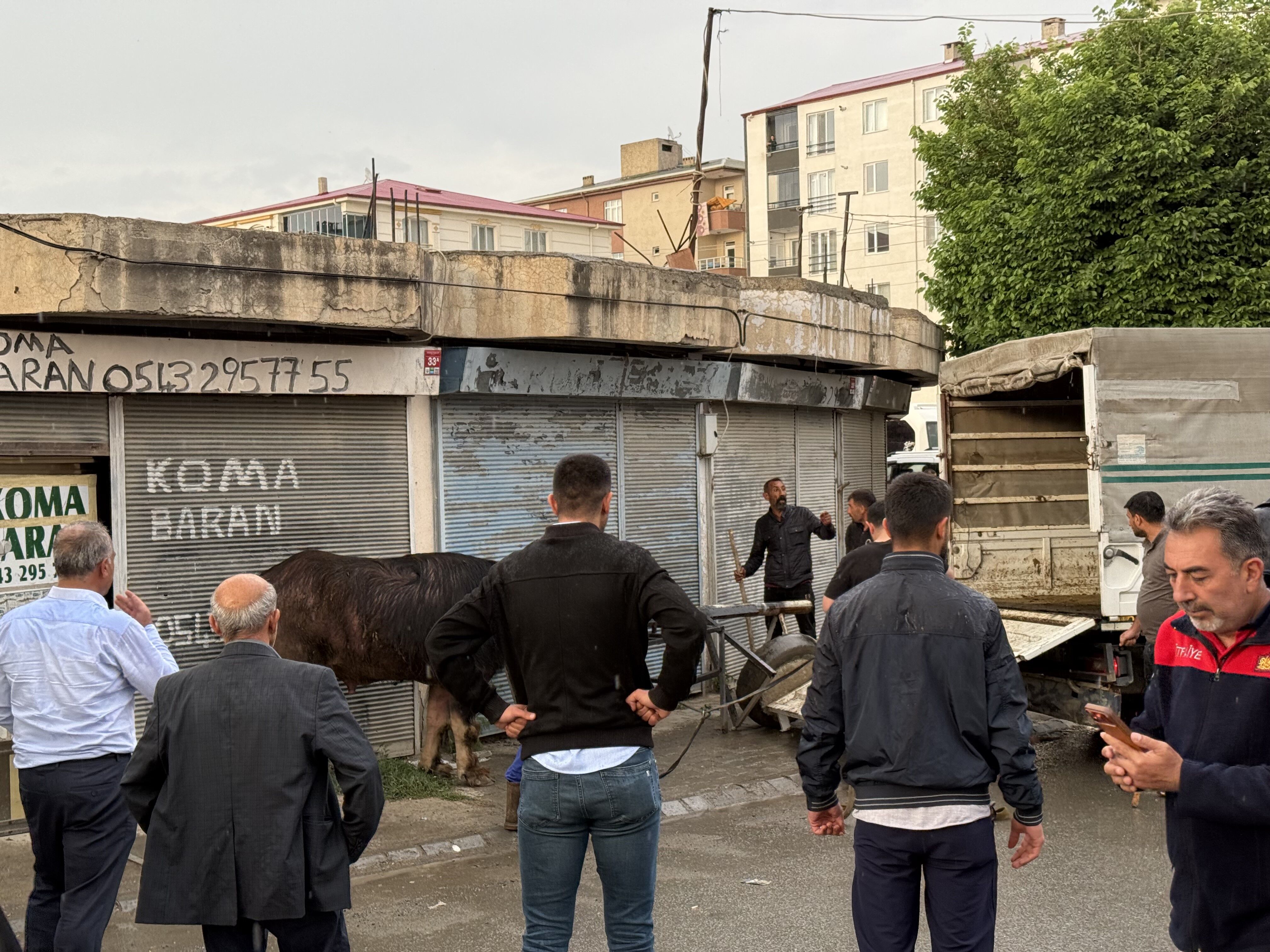 Kontrolden Cikan Manda Dehset Sacti Yasli Adam Yere Boyle Savruldu (4)