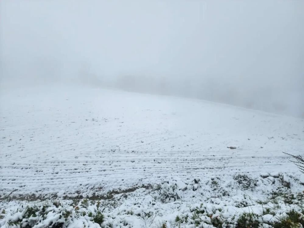Manisa Yüksek Kesim (4)