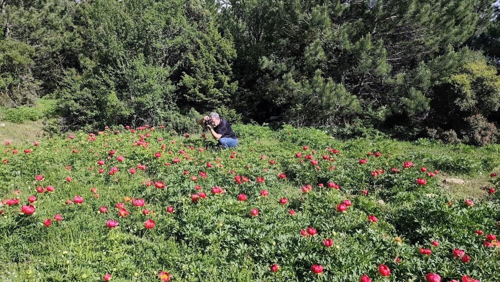 Manisada Doga Harikasi Ayi Gulu Icin Rekor Ceza (5)
