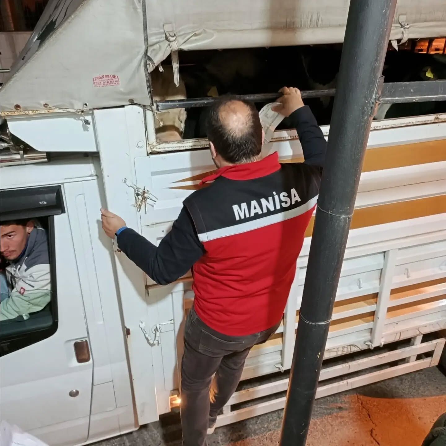 Salihli’de Kurban Öncesi Hayvan Nakillerine Sıkı Denetim! (1)