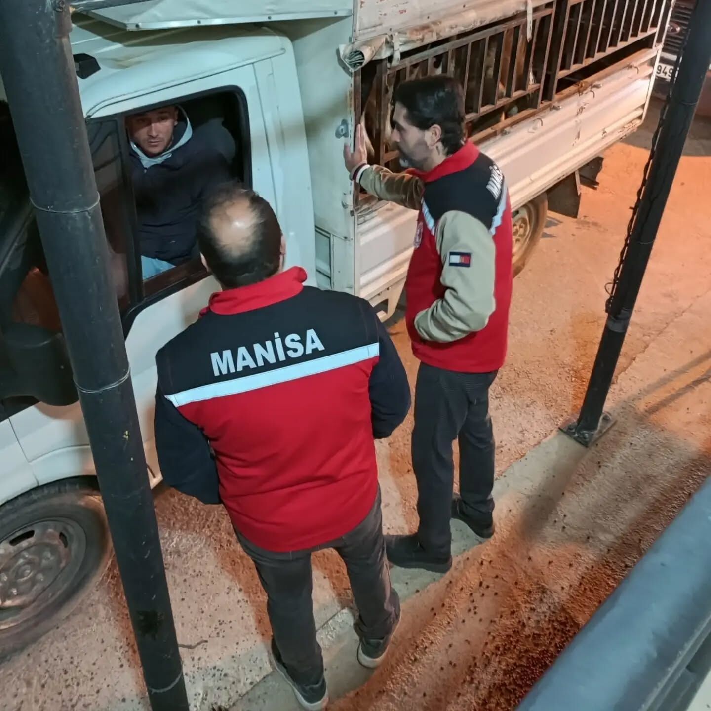 Salihli’de Kurban Öncesi Hayvan Nakillerine Sıkı Denetim! (4)