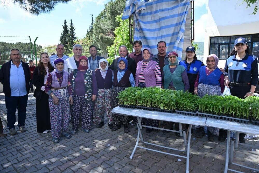 Salihlide Ureticiye 34 Bin Sebze Fidesi Destegi (2)