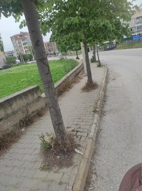 Salihli’de Vatandaşlar Yıkılan Köprünün Yeniden Yapılmasını Istiyor (1)-1