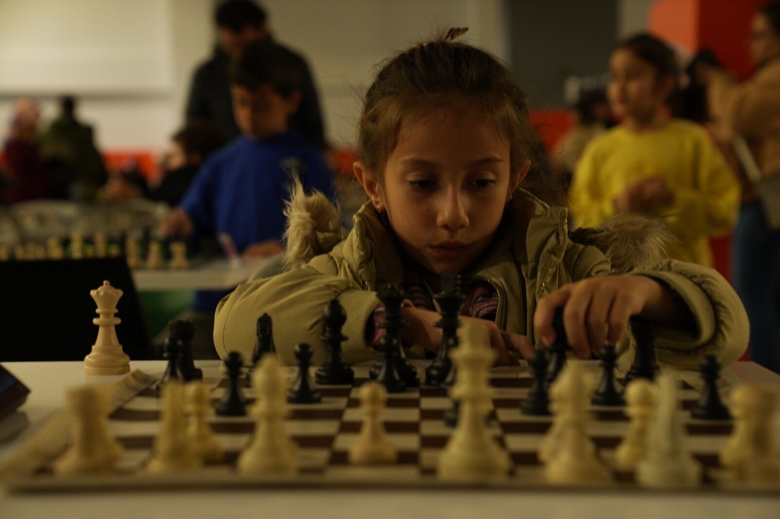 Satranç (16)