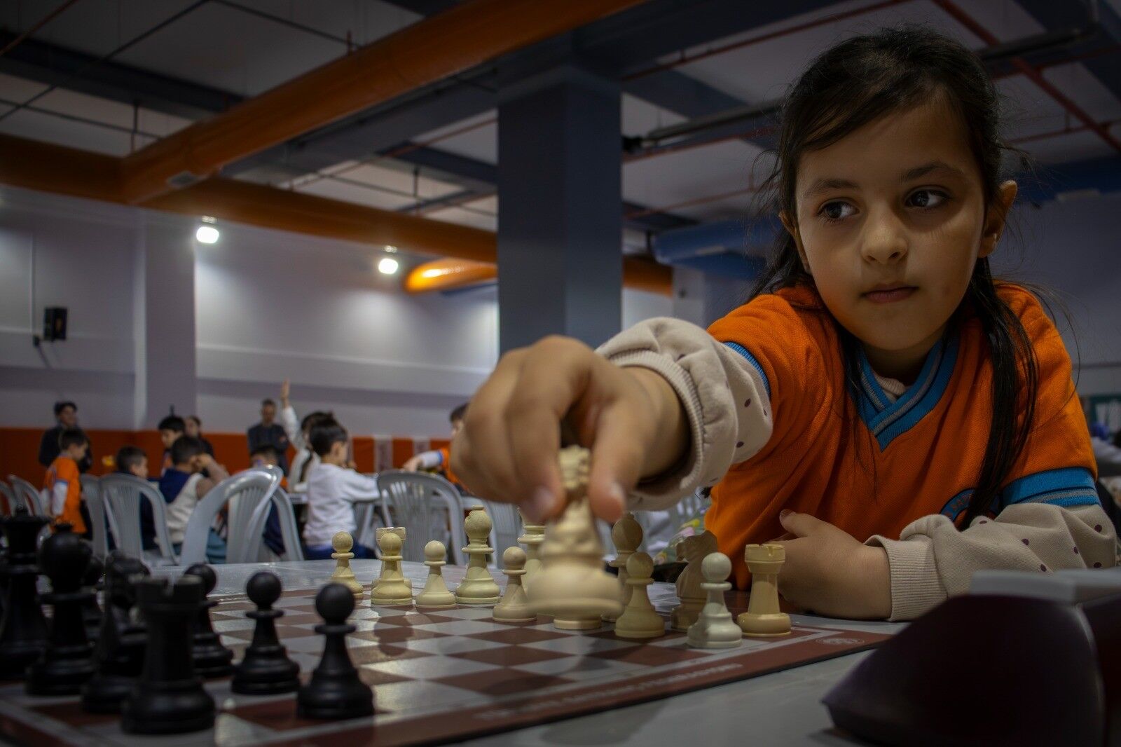 Satranç (19)