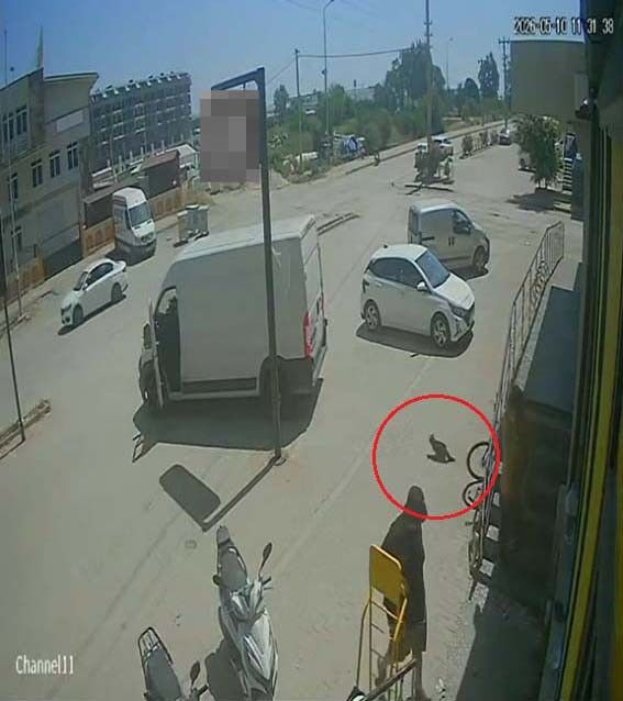 Sokak Hayvanlarina Kan Donduran Eziyet Goruntuler Tepki Yagdirdi (5)
