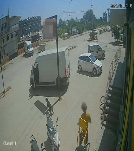 Sokak Hayvanlarina Kan Donduran Eziyet Goruntuler Tepki Yagdirdi (6)
