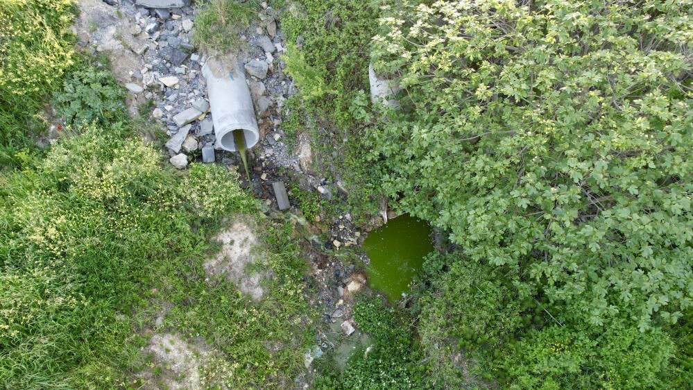 Tedirgin Eden Manzara Dere Bir Anda Yesile Dondu Agir Koku Mahalleyi Sardi (2)