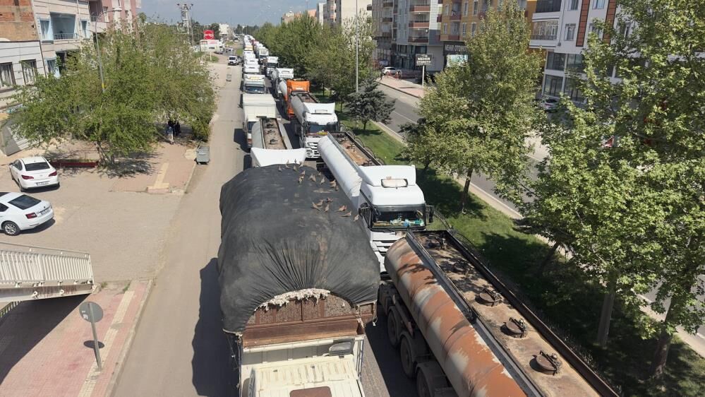 Trafik Lambasi Onlar Icin Yemek Zili (3)
