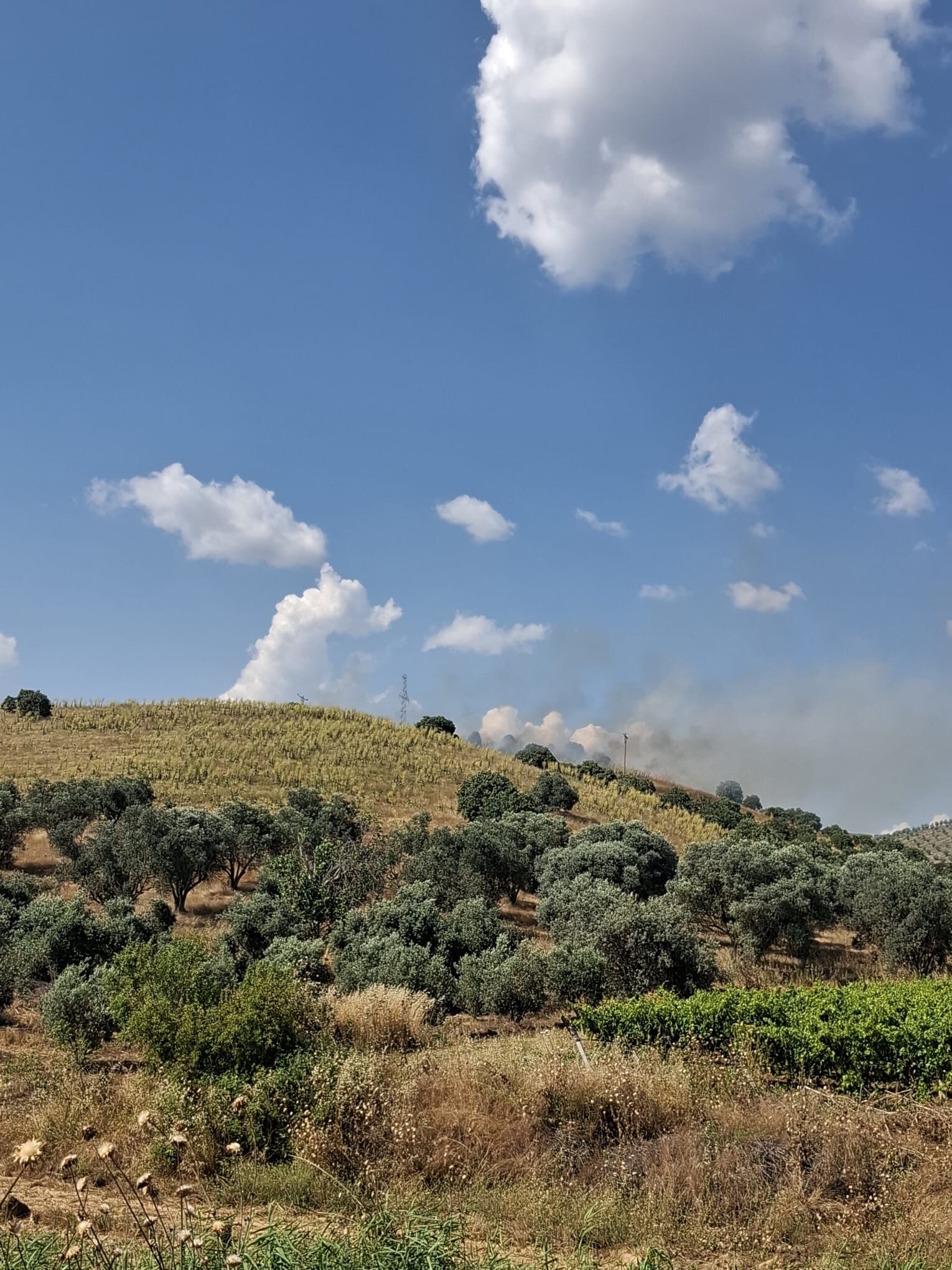 2-1234